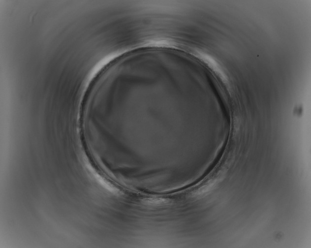 X0000091921331200709261634