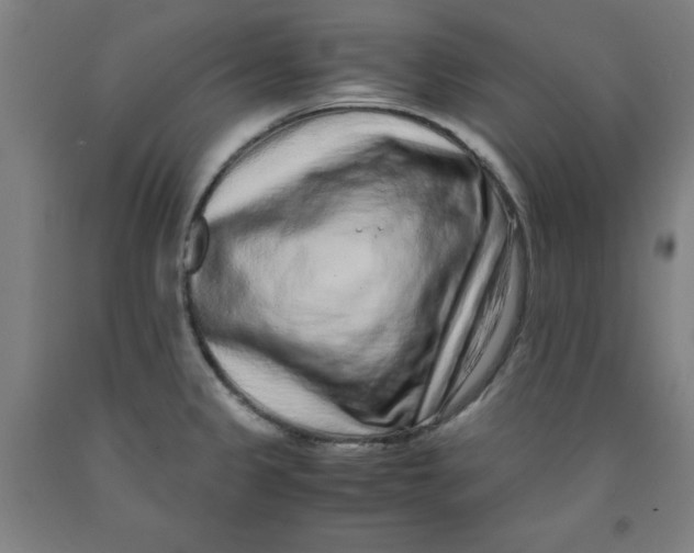 X0000091921333200709261634