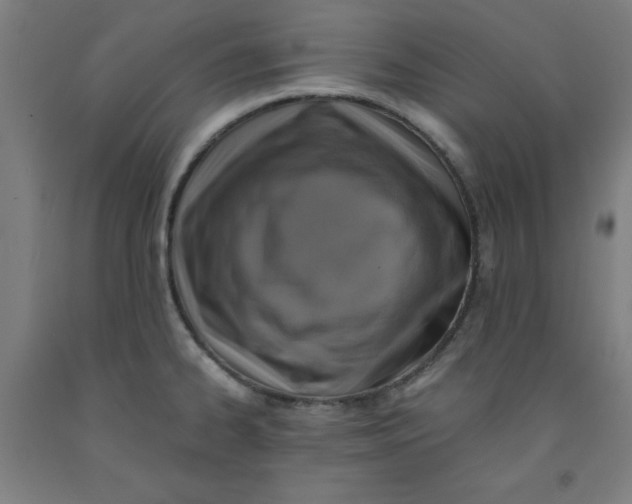 X0000091921334200709261634