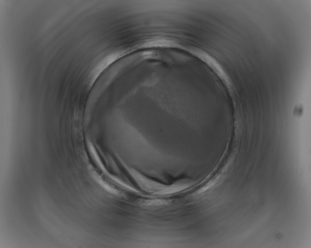 X0000091921337200709261634