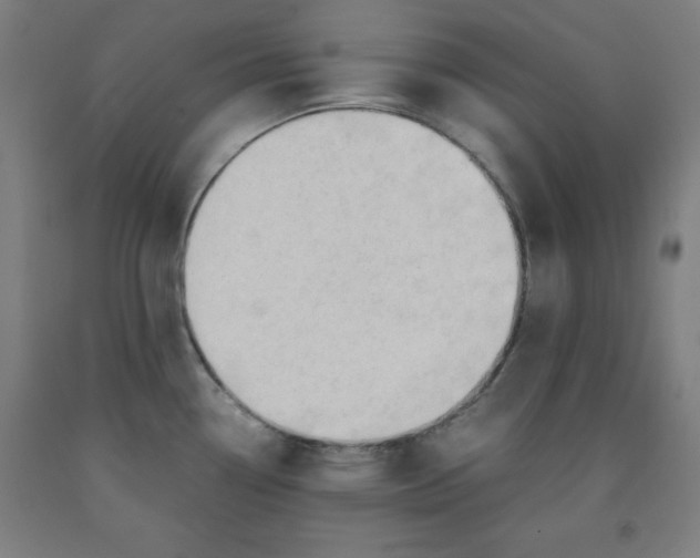 X0000091921338200709261634