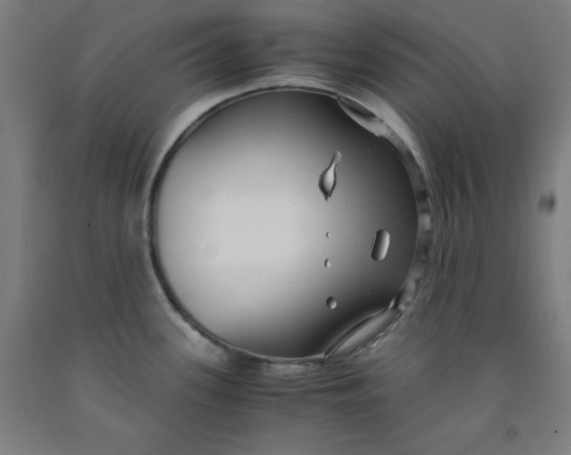 X0000091921339200709261634