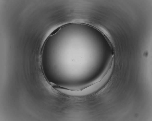 X0000091921340200709261634