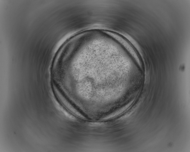 X0000091921341200709261634