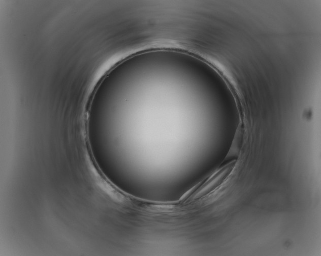 X0000091921342200709261634