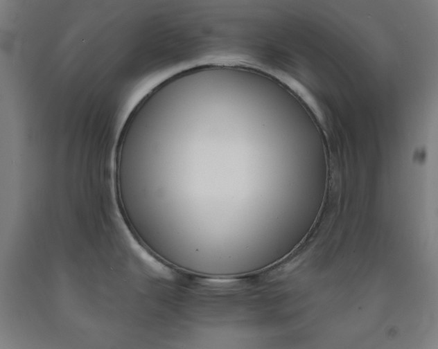 X0000091921343200709261634