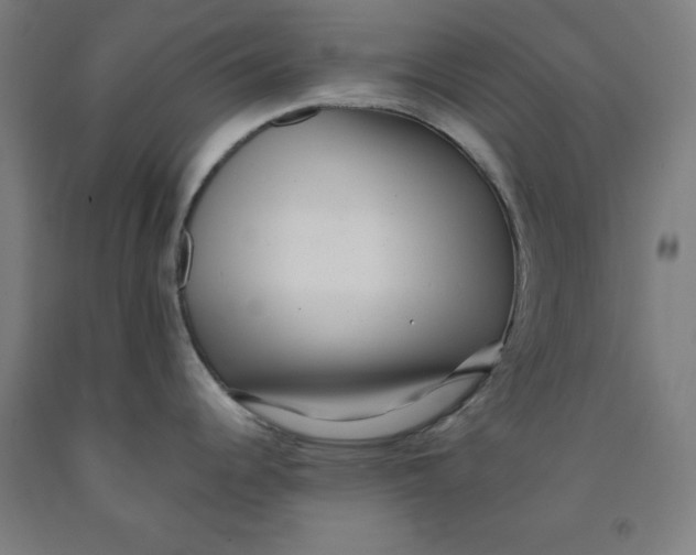 X0000091921344200709261634