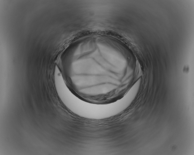 X0000091921348200709261633