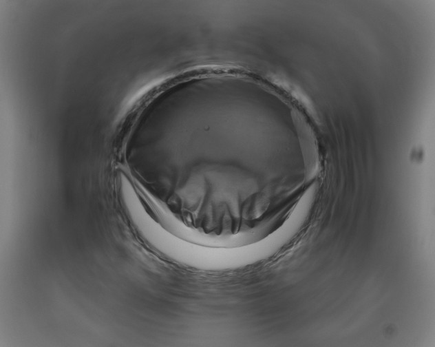 X0000091921352200709261633