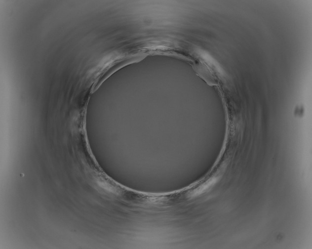 X0000091921353200709261633