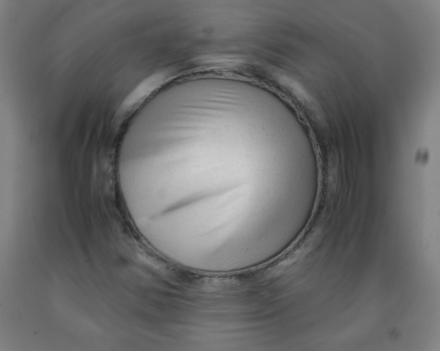 X0000091921354200709261633