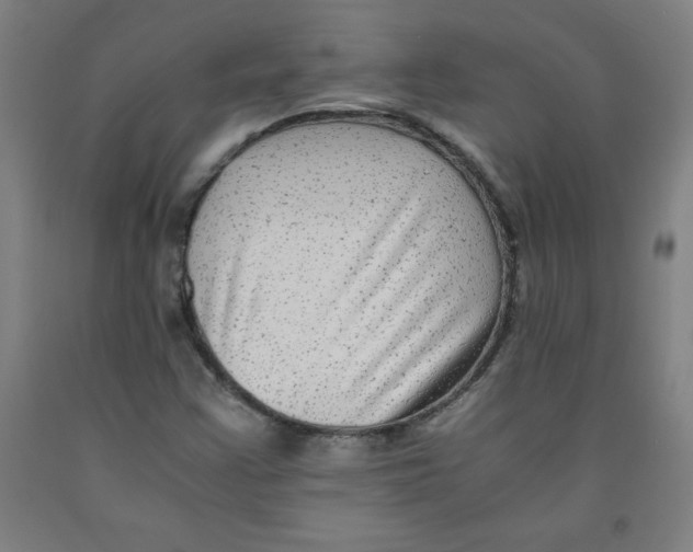 X0000091921355200709261633