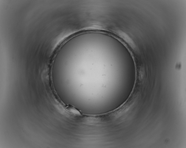 X0000091921356200709261633