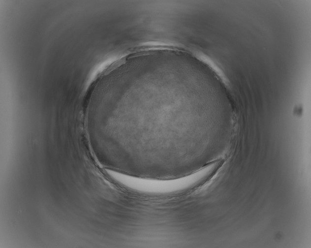 X0000091921357200709261633