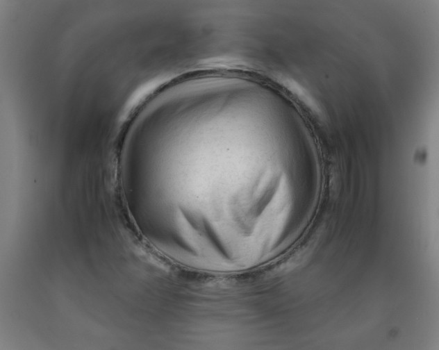 X0000091921358200709261633