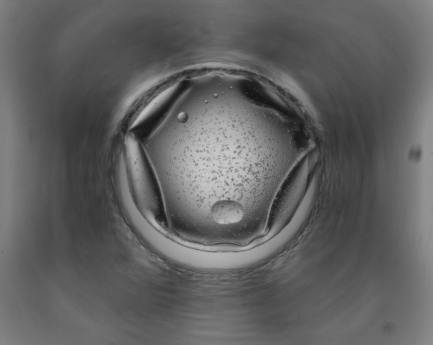 X0000091921360200709261633