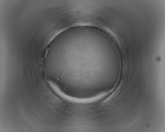 X0000091921361200709261633