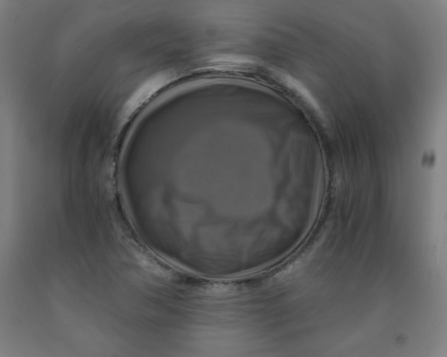 X0000091921362200709261633