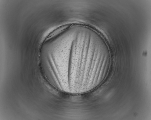 X0000091921363200709261633