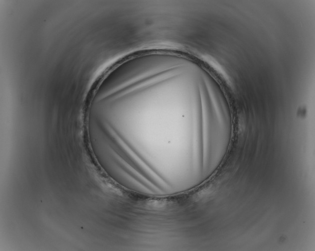 X0000091921364200709261633