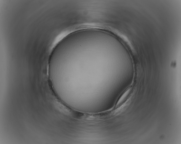 X0000091921365200709261633