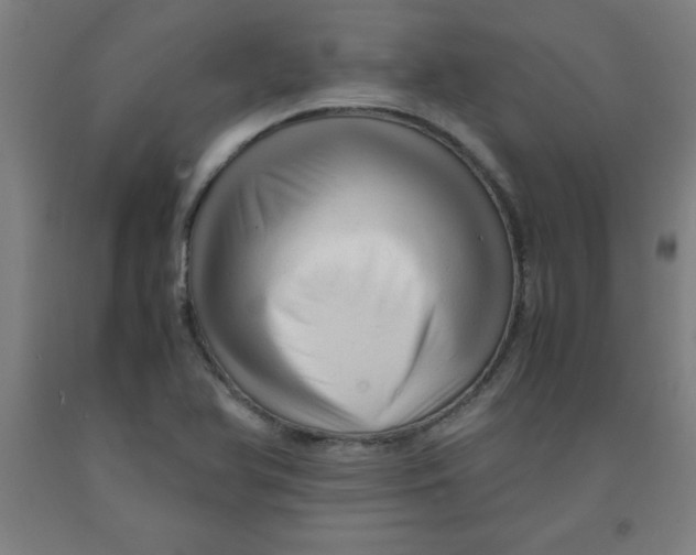 X0000091921366200709261633