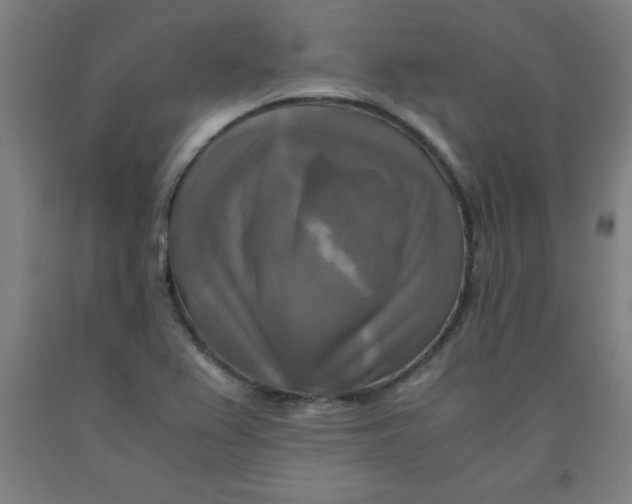 X0000091921367200709261633