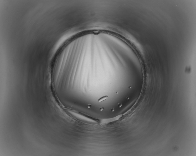 X0000091921368200709261633