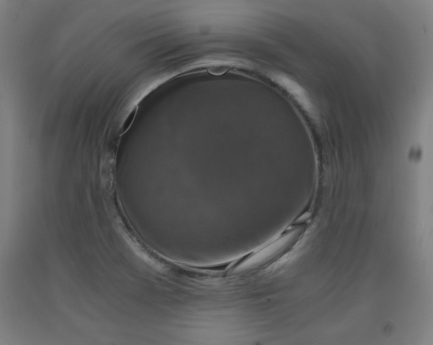 X0000091921369200709261633