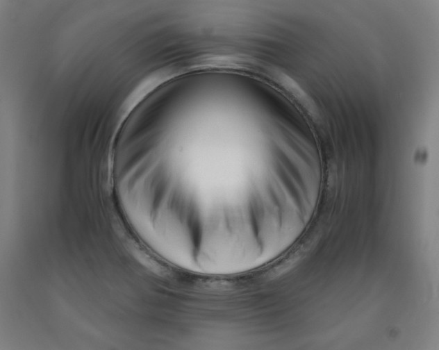 X0000091921370200709261633