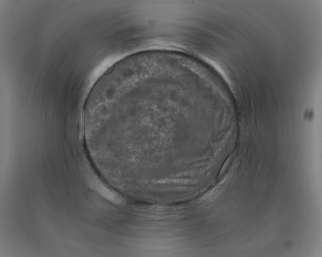 X0000091921371200709261633