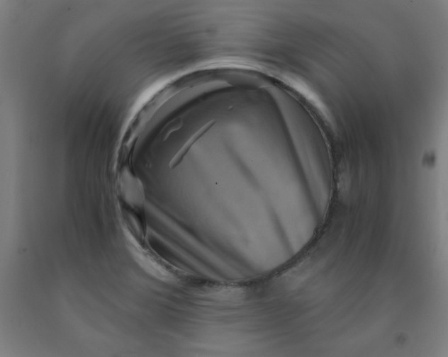 X0000091921372200709261633