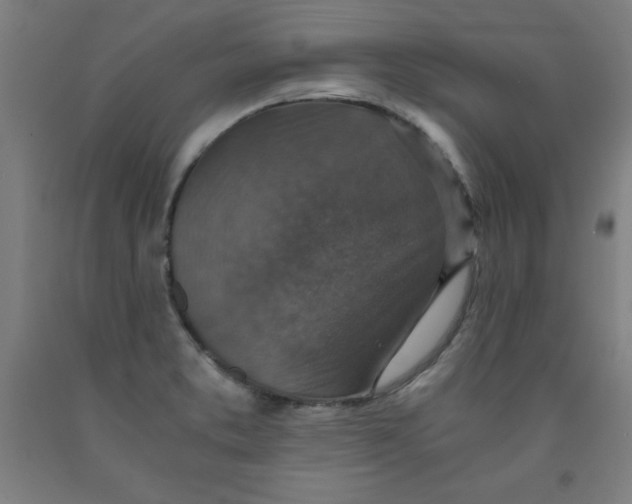 X0000091921373200709261633