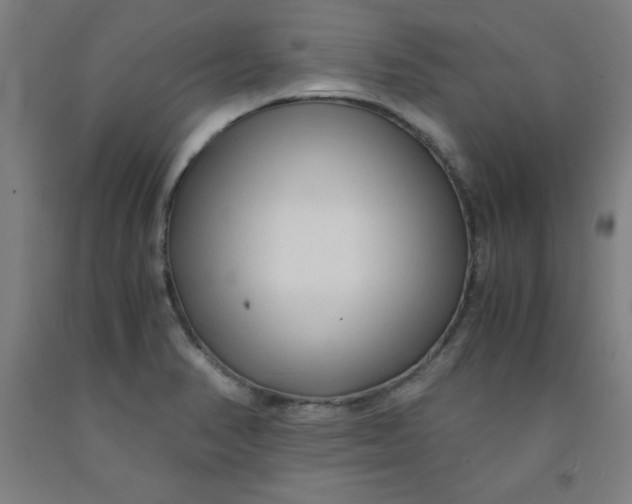 X0000091921374200709261633