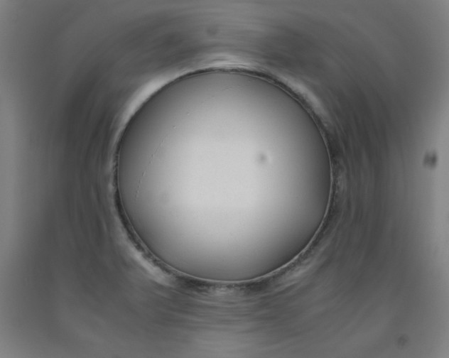 X0000091921375200709261633