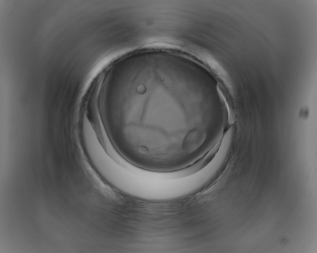 X0000091921376200709261633