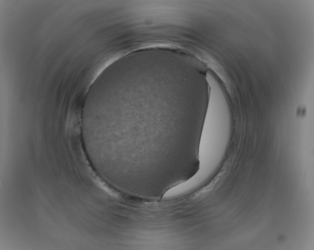 X0000091921377200709261633