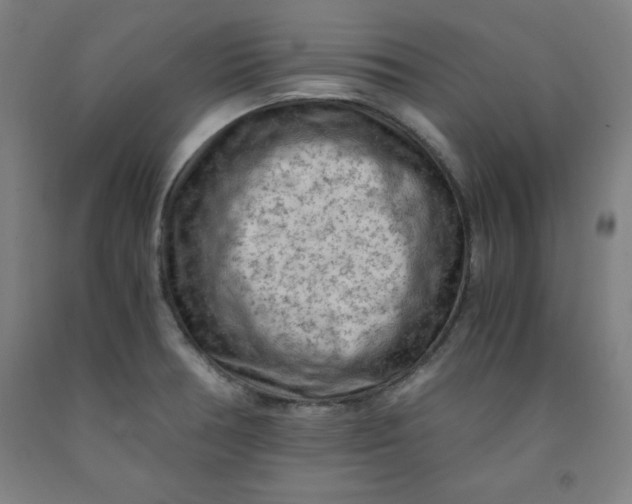 X0000091921378200709261633