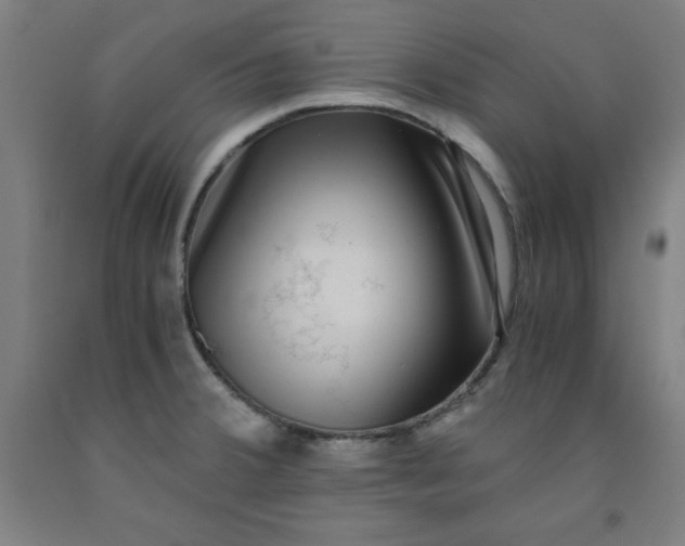 X0000091921380200709261633