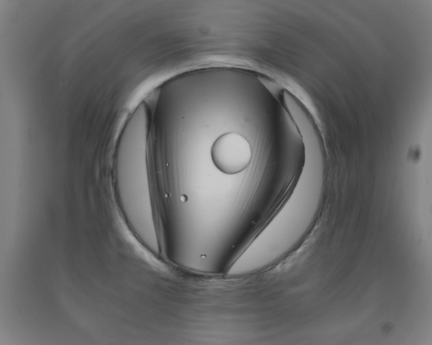 X0000091921381200709261633