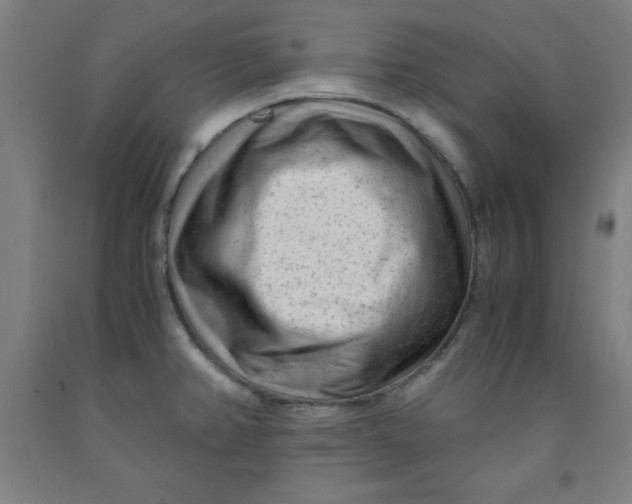 X0000091921382200709261633