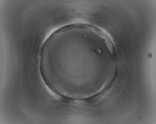 X0000091921383200709261633