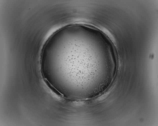 X0000091921384200709261633