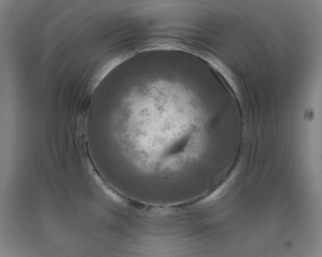 X0000091921385200709261633