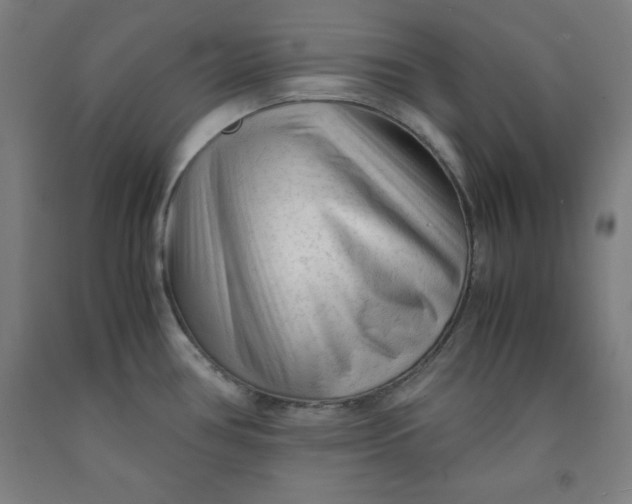 X0000091921386200709261633