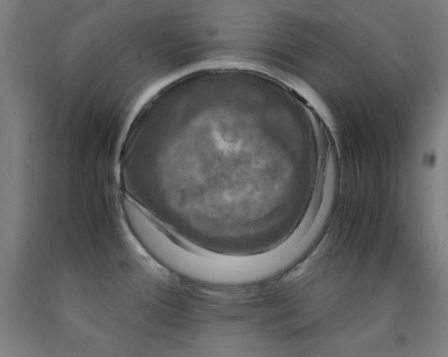 X0000091921388200709261633