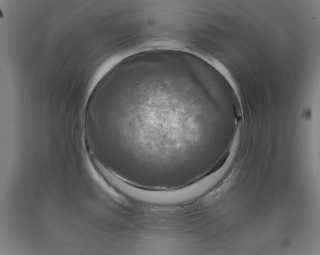 X0000091921389200709261633