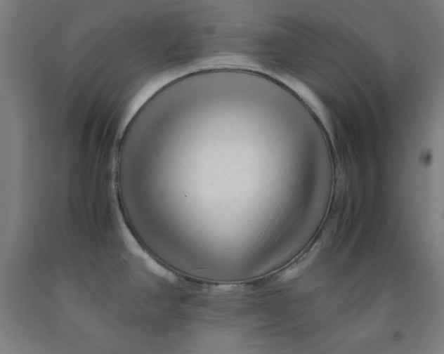 X0000091921390200709261633