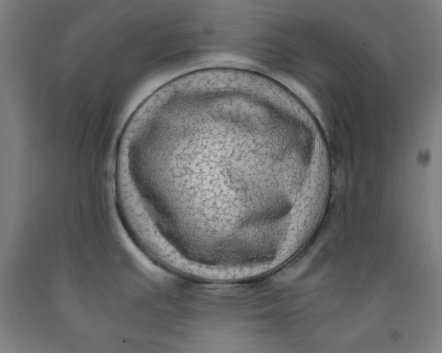 X0000091921391200709261633