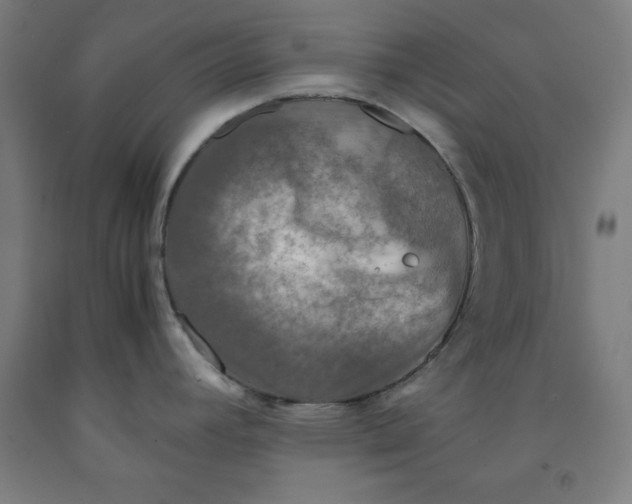 X0000091921392200709261633